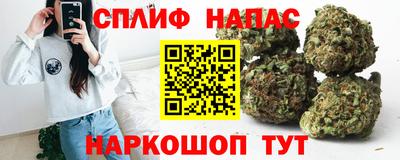 соль ск Камень-на-Оби